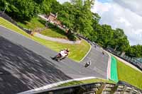 anglesey;brands-hatch;cadwell-park;croft;donington-park;enduro-digital-images;event-digital-images;eventdigitalimages;mallory;no-limits;oulton-park;peter-wileman-photography;racing-digital-images;silverstone;snetterton;trackday-digital-images;trackday-photos;vmcc-banbury-run;welsh-2-day-enduro